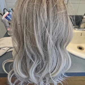 Elegant Silver Blonde Gray Women's Wig